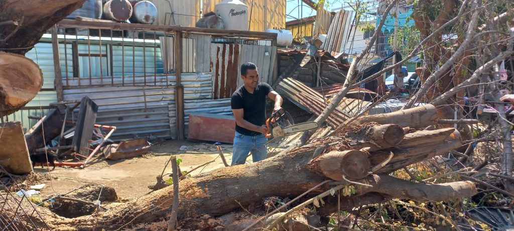 ¿Sabes dónde tirar láminas y troncos en Acapulco?