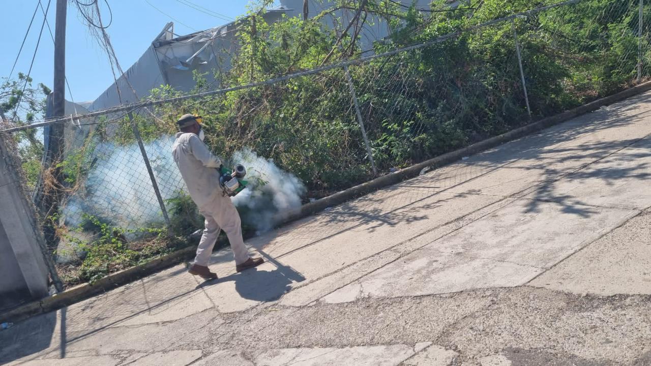 Gobierno de Guerrero lanza estrategia especial contra el dengue