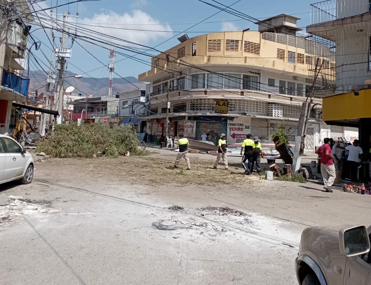 Retiran árboles caídos de avenidas en Acapulco