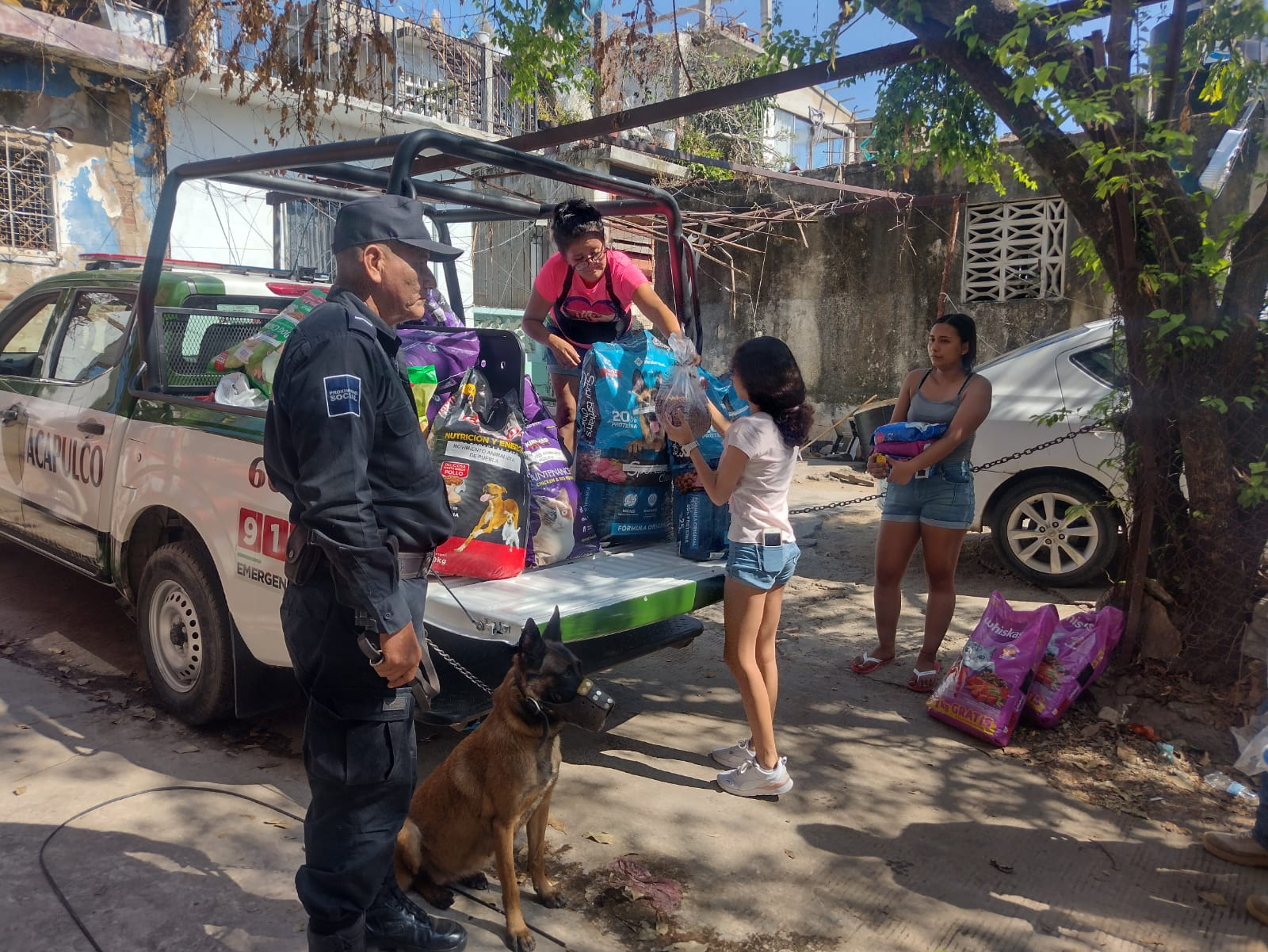 Entregan alimento para perros de familias damnificadas por Otis