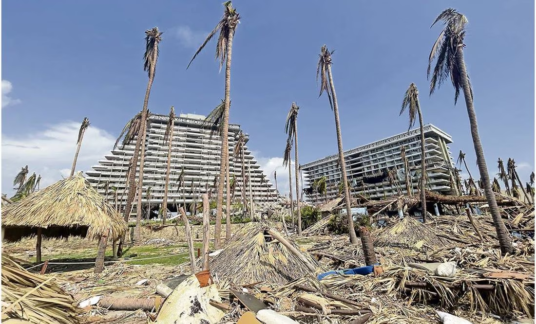 Sociedad civil trabajará para reforestar Acapulco