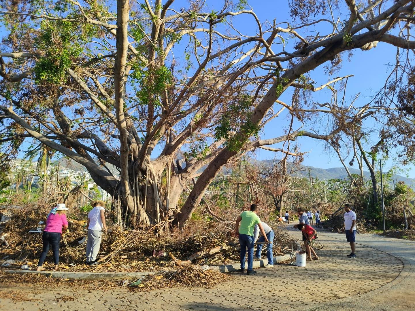 Más de 400 personas realizan limpieza en parque Papagayo