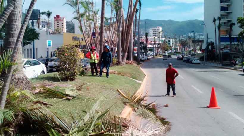 Continúan trabajos de recuperación y mantenimiento en Acapulco