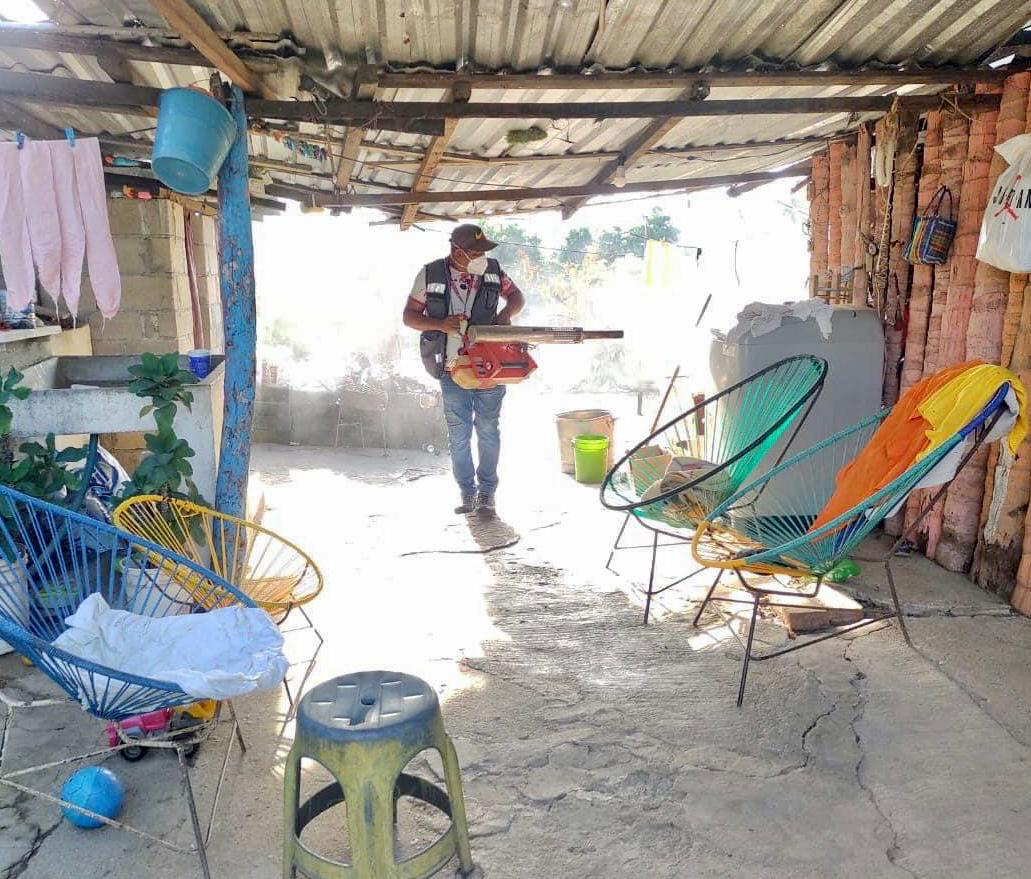 Fumigan para prevenir dengue en Ciudad Renacimiento de Acapulco