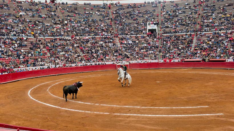 Tauromaquia en México: Famosos rechazan regreso de corridas en la Plaza de Toros