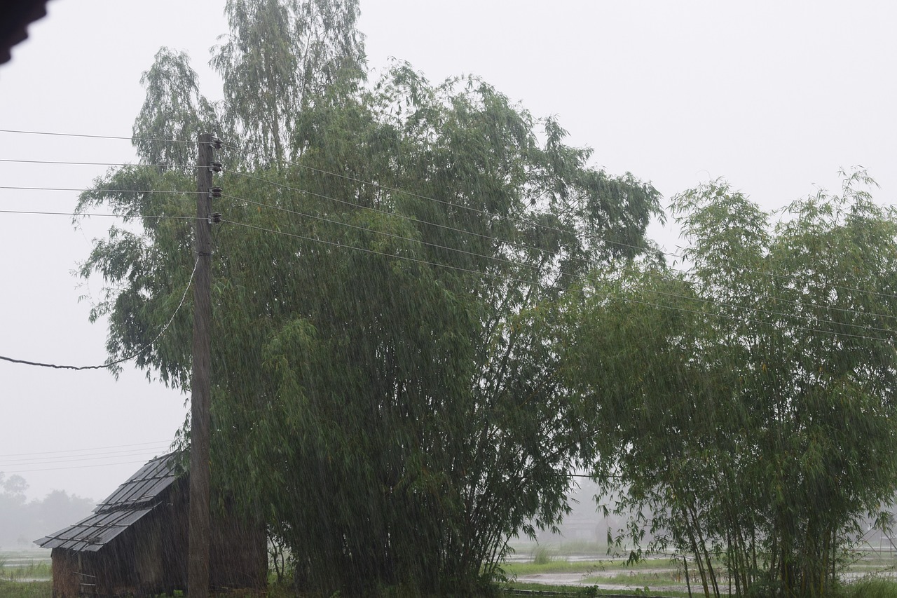 Prevén lluvias en zonas elevadas de Guerrero este sábado