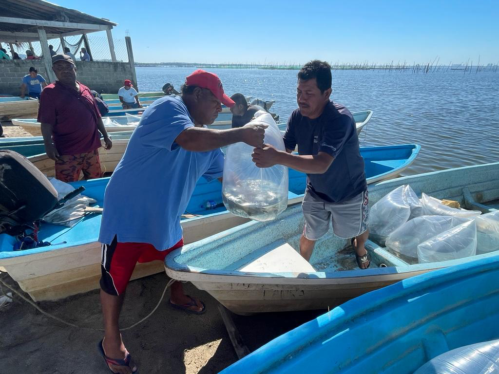 Gobierno de Acapulco invierte 2 MDP en pesca