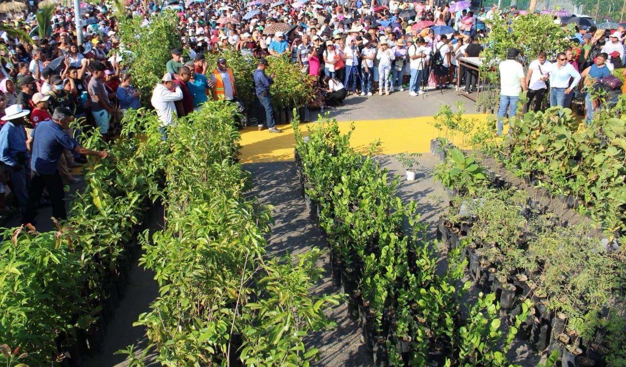 Inicia en Acapulco campaña campaña de arborización “Sembrando con Amor” e