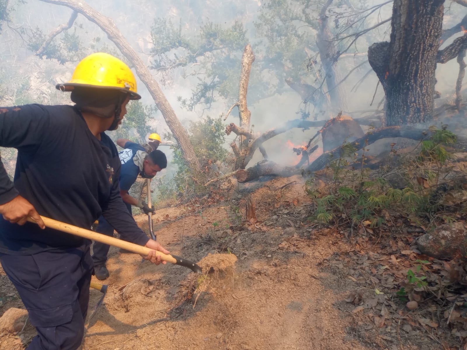 Viento complica trabajos de sofocación de incendio en Carabalí