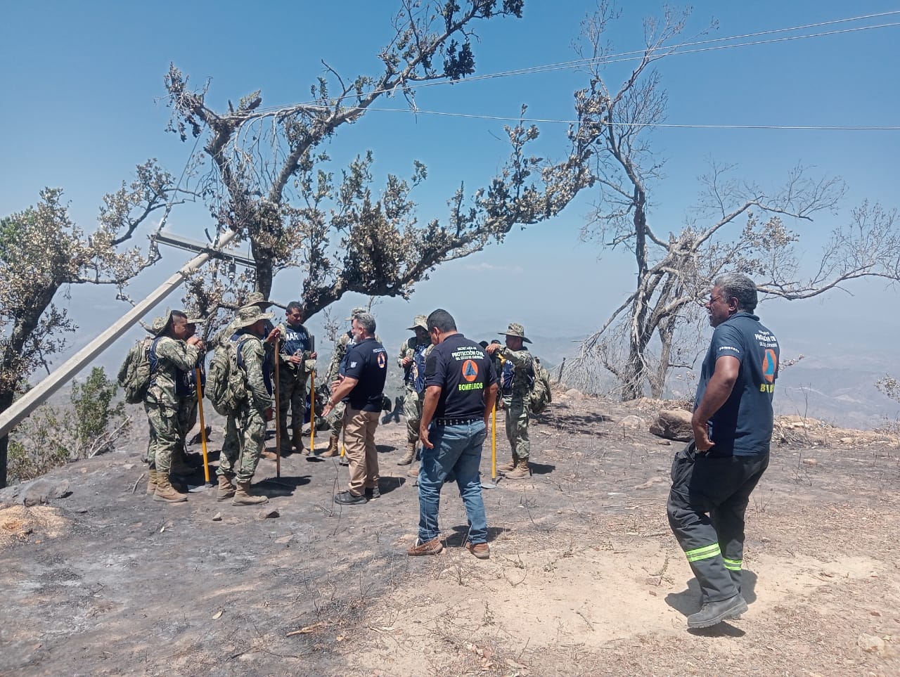 Incendios forestales en Acapulco casi están eliminados: PC Guerrero