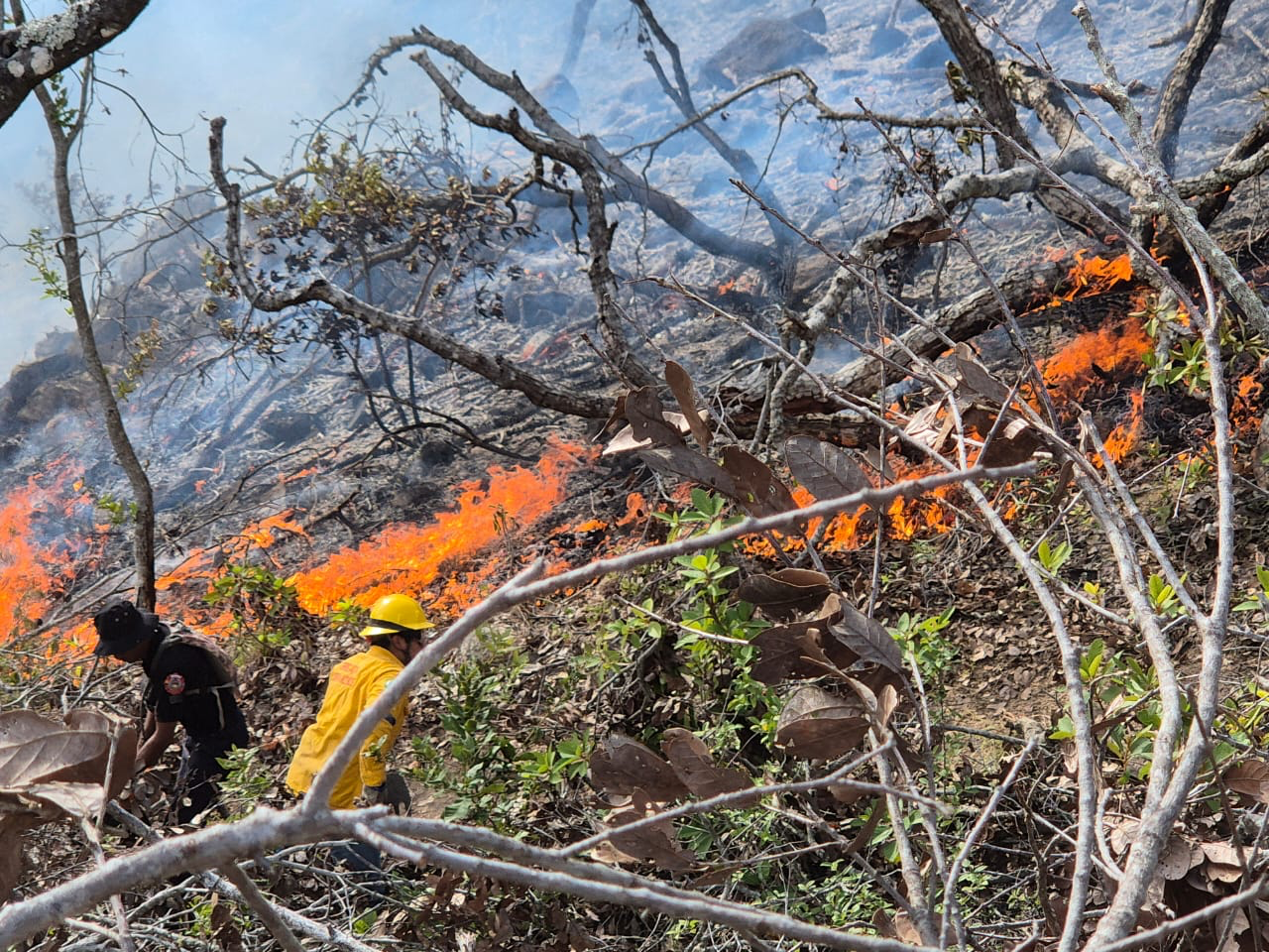 Combaten incendio en El Veladero