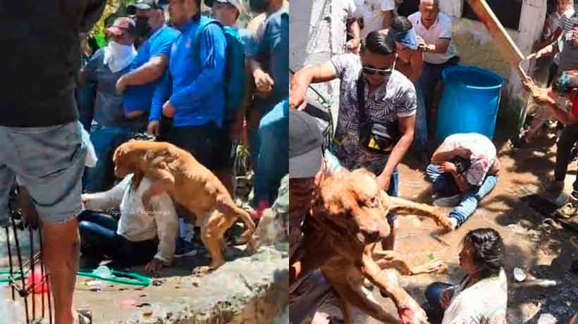 Inocencia canina; salvan a perro previo al linchamiento de tres personas en Taxco