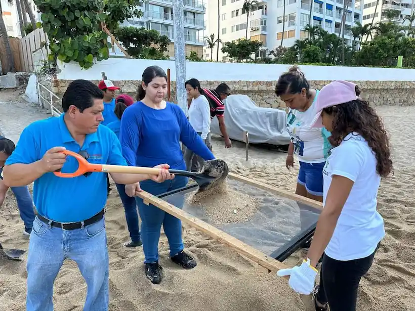 Acapulco limpio: Realizan tareas de saneamiento en Playa Icacos