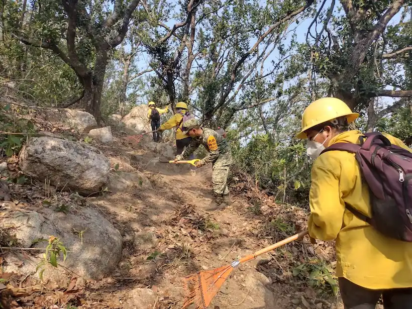 Incendios forestales de Acapulco, controlados al 80%