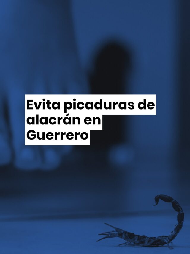 Evita picaduras de alacrán en Guerrero