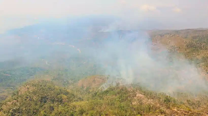 Controlan 95% de incendio forestal en el parque El Veladero