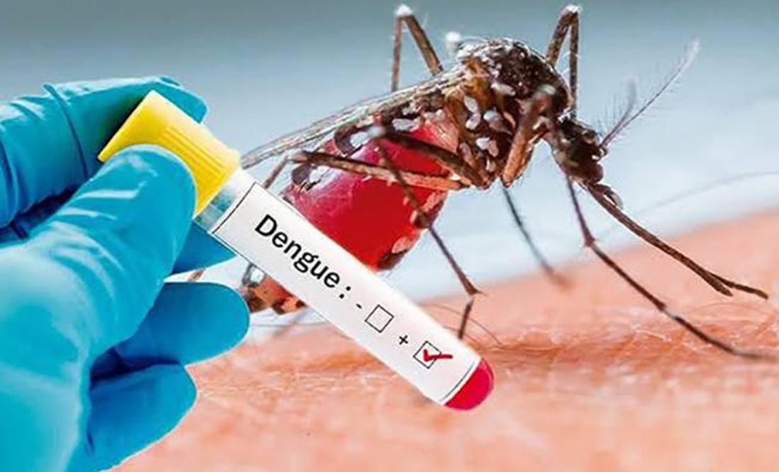 Reporta Salud Guerrero 5 defunciones por dengue en el estado
