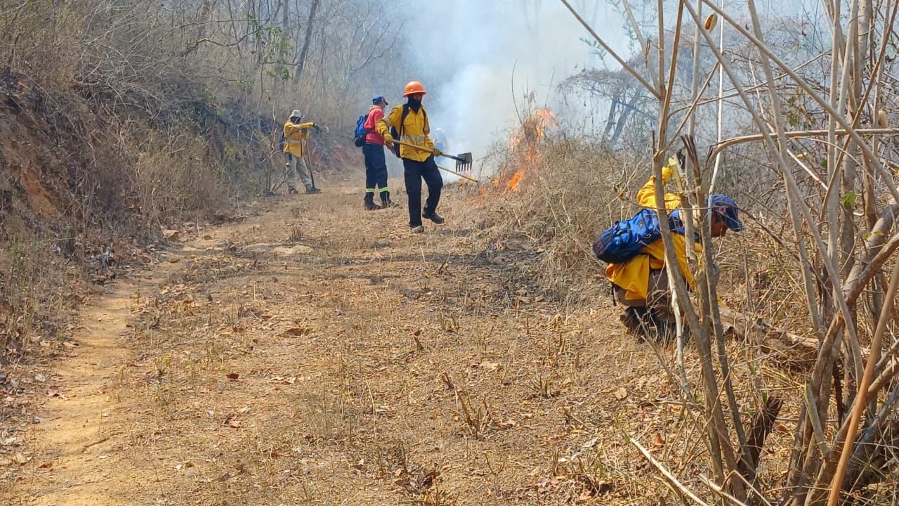 Actualmente existen 11 incendios forestales activos en Guerrero