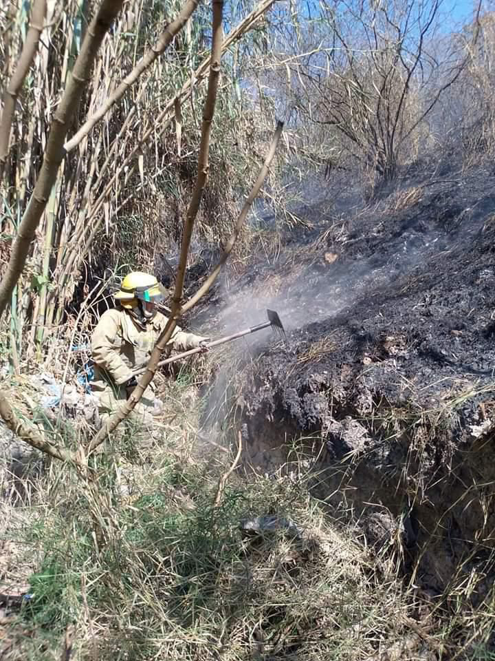 Protección Civil confirma que 9 de 10 incendios forestales son provocados