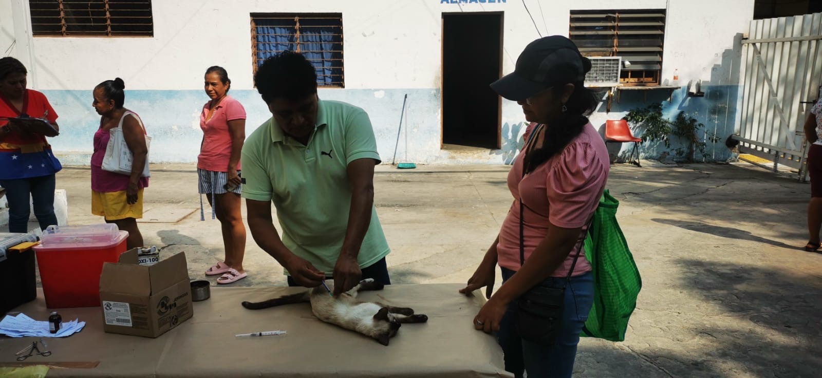 Suma Gobierno de Acapulco  300 esterilizaciones en mayo