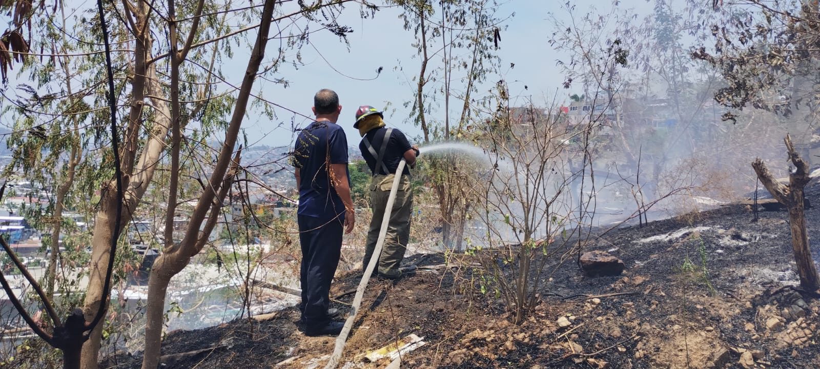 Atienden Bomberos de Acapulco incendio en Bellavista