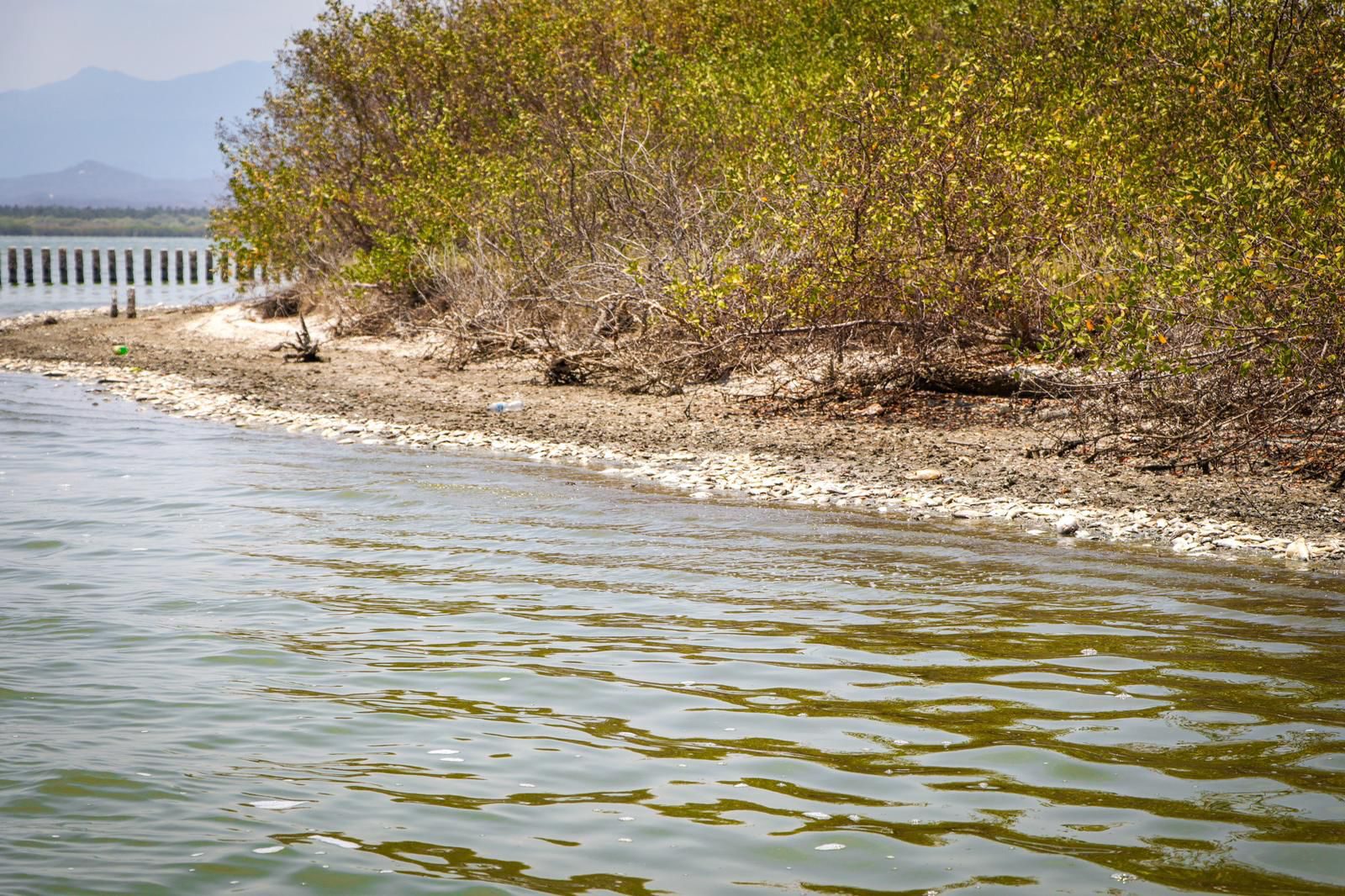 Por altas temperaturas peces están muriendo en laguna de Chautengo