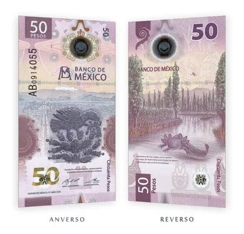 Venden Billete de ajolote con ‘error de impresión único’ en más de 1 millón