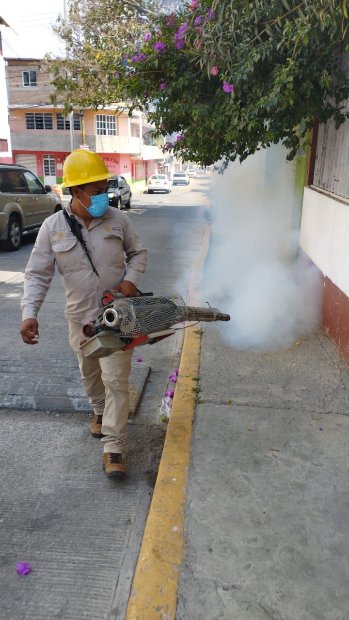 Mantiene la SSG acciones contra el mosco transmisor del dengue en Guerrero