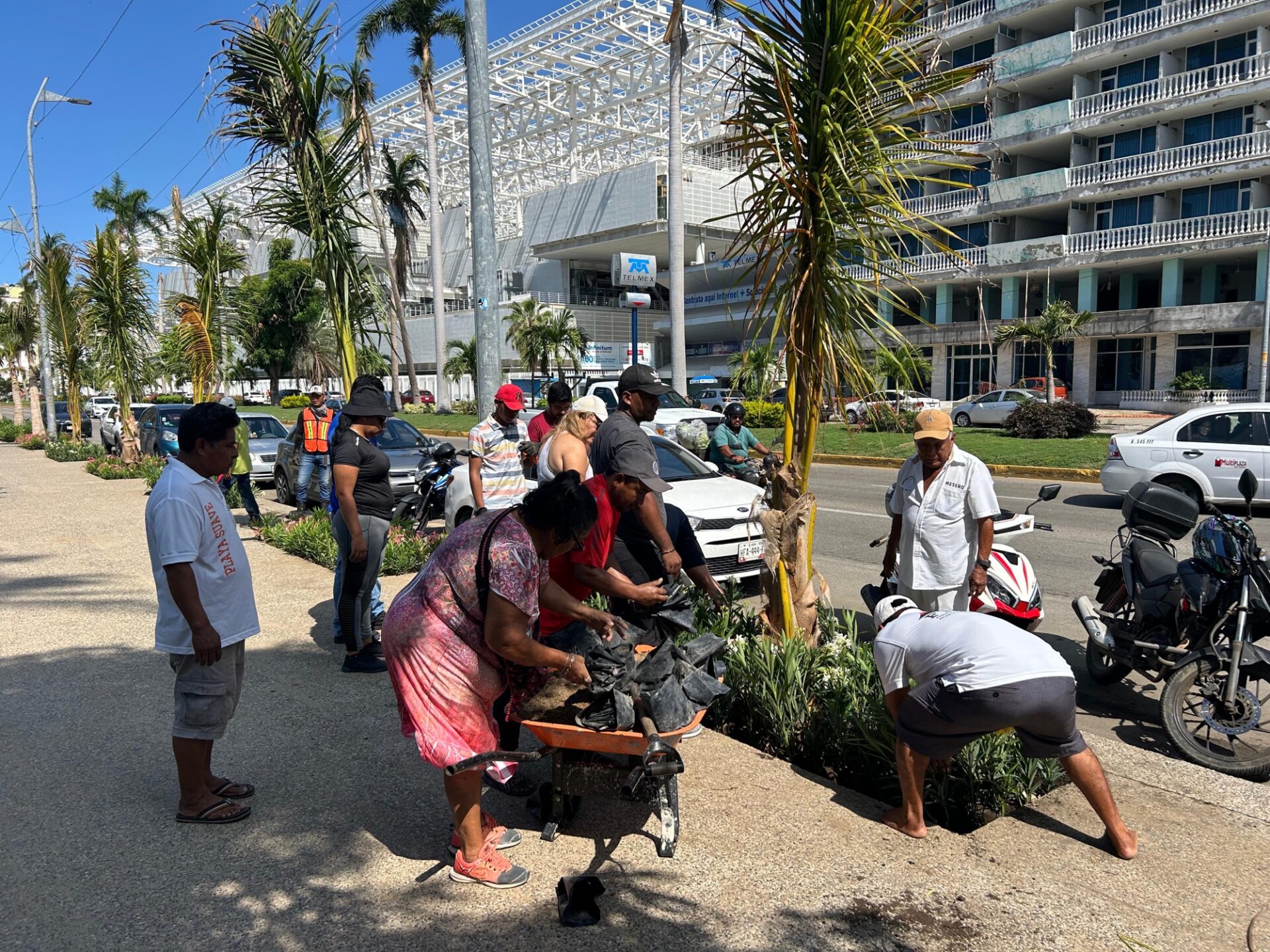 Grupo FRAT reforesta camellones de la costera Miguel Alemán con plantas y palmeras