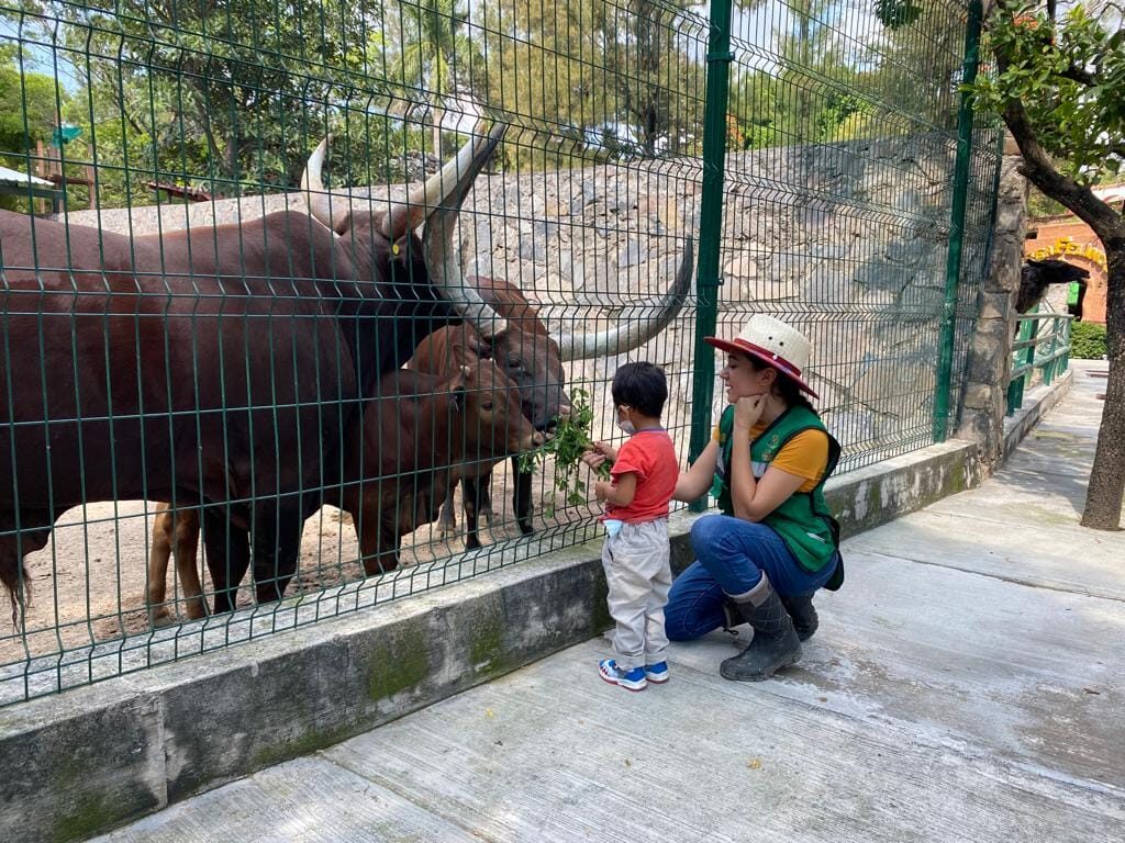 Modifican en Congreso Ley de Bienestar Animal de Guerrero