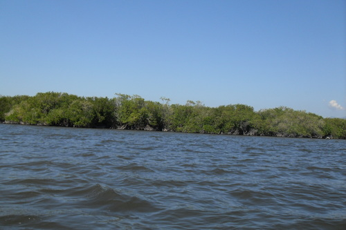 Proponen en Congreso de Guerrero proyecto de diagnóstico ambiental en Laguna de Chautengo