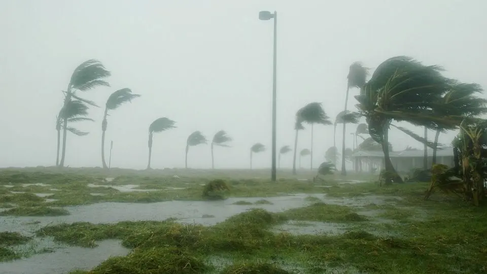 Beryl: Reporta CFE cortes de energía masivos en la Península de Yucatán