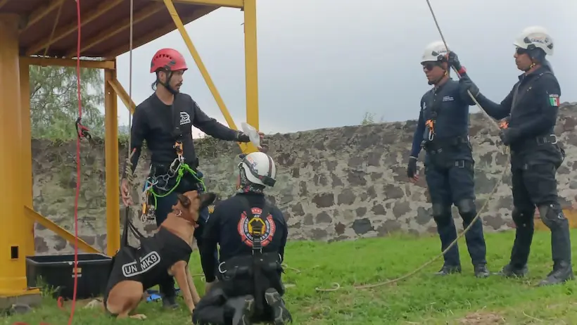 Busca SGIRPCGRO certificación de su unidad canina de búsqueda y rescate