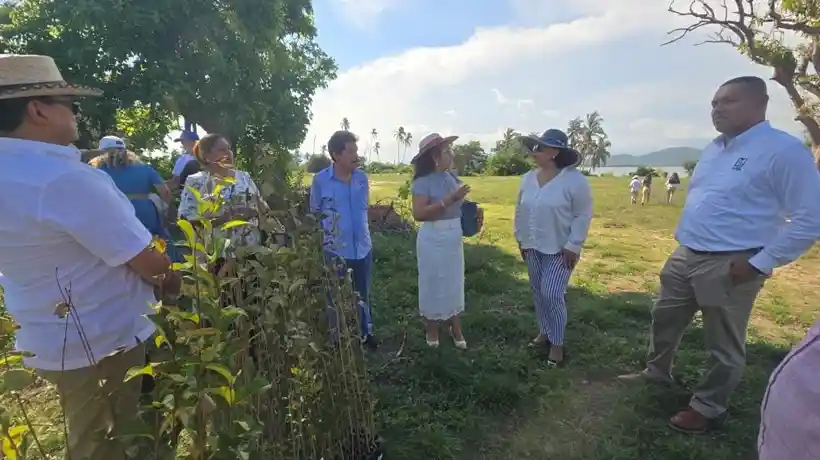 IMSS lanza campaña de reforestación en Acapulco