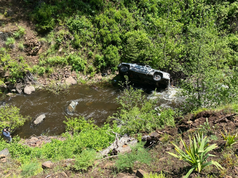 Perro busca ayuda para su dueño que estrelló su coche contra un barranco