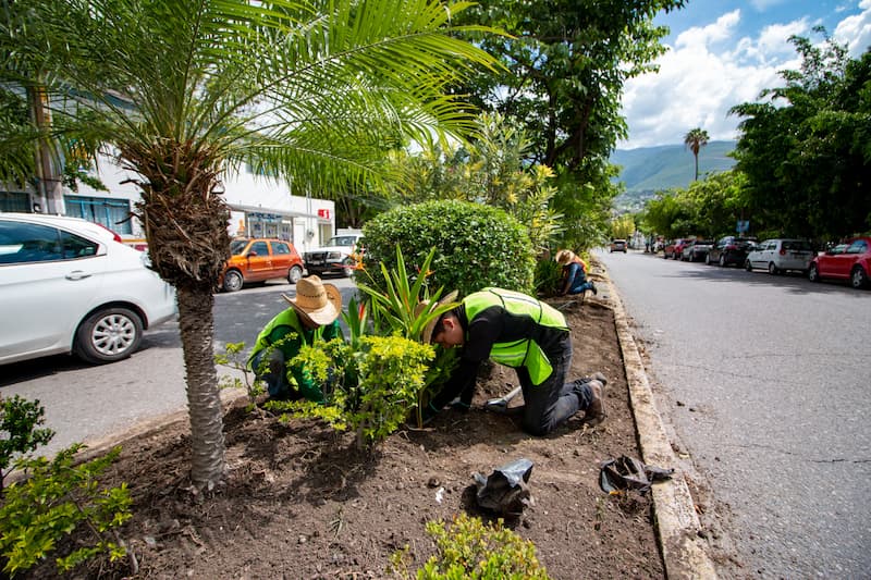 Gobierno moderniza y mejora la imagen urbana de Chilpancingo