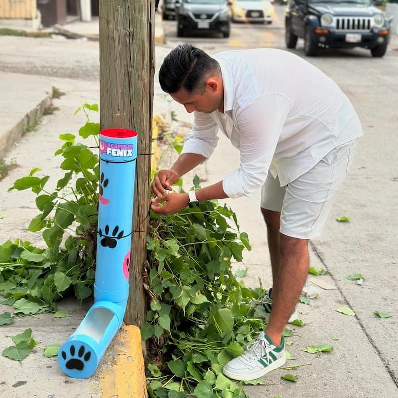 Gobierno de Guerrero impulsa instalación de bebederos para perros y gatos en Acapulco 