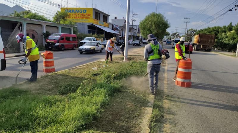 Arreglan vegetación en camellones de Acapulco