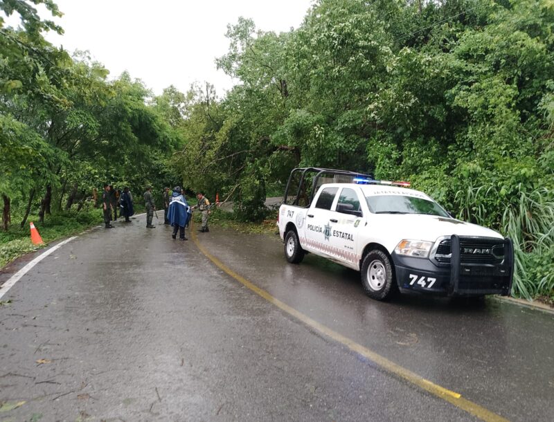 Retiran árboles y piedras de carreteras estatales en Guerrero