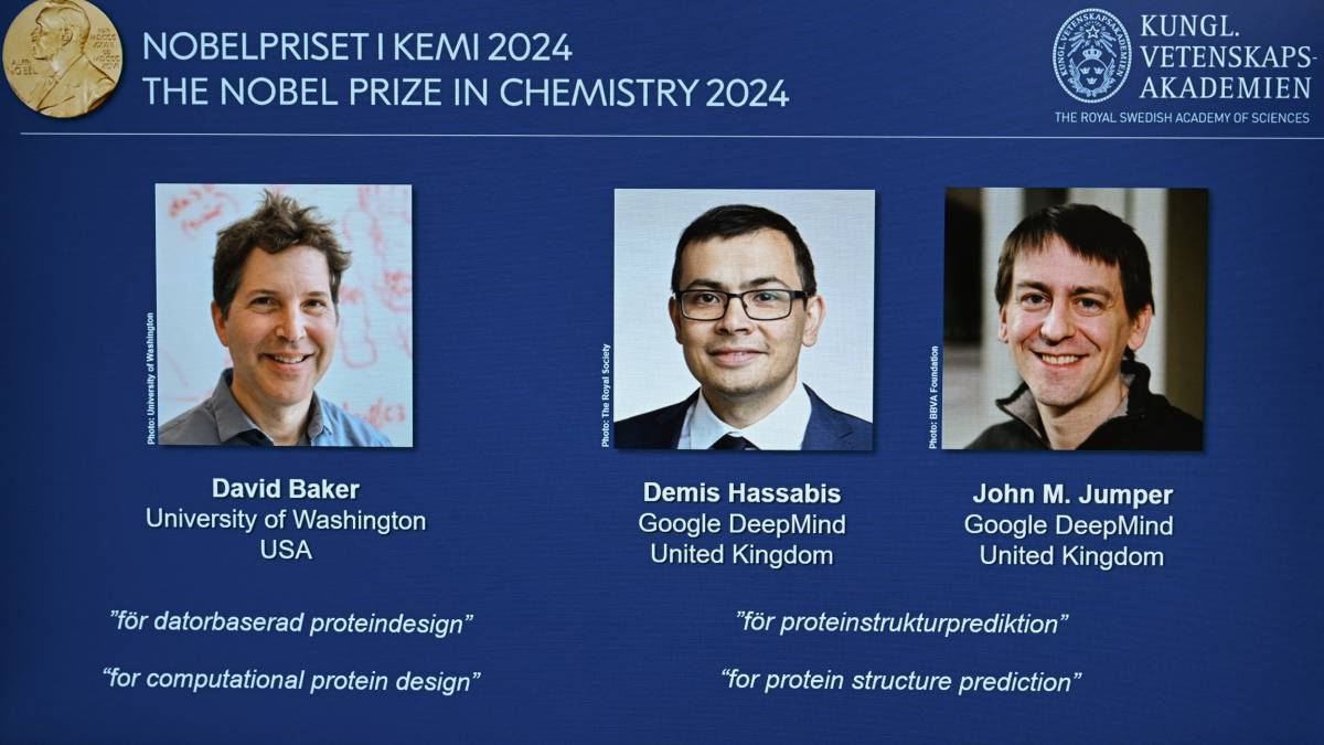 Entregan Premio Nobel de Química a pioneros a la IA aplicada a proteínas