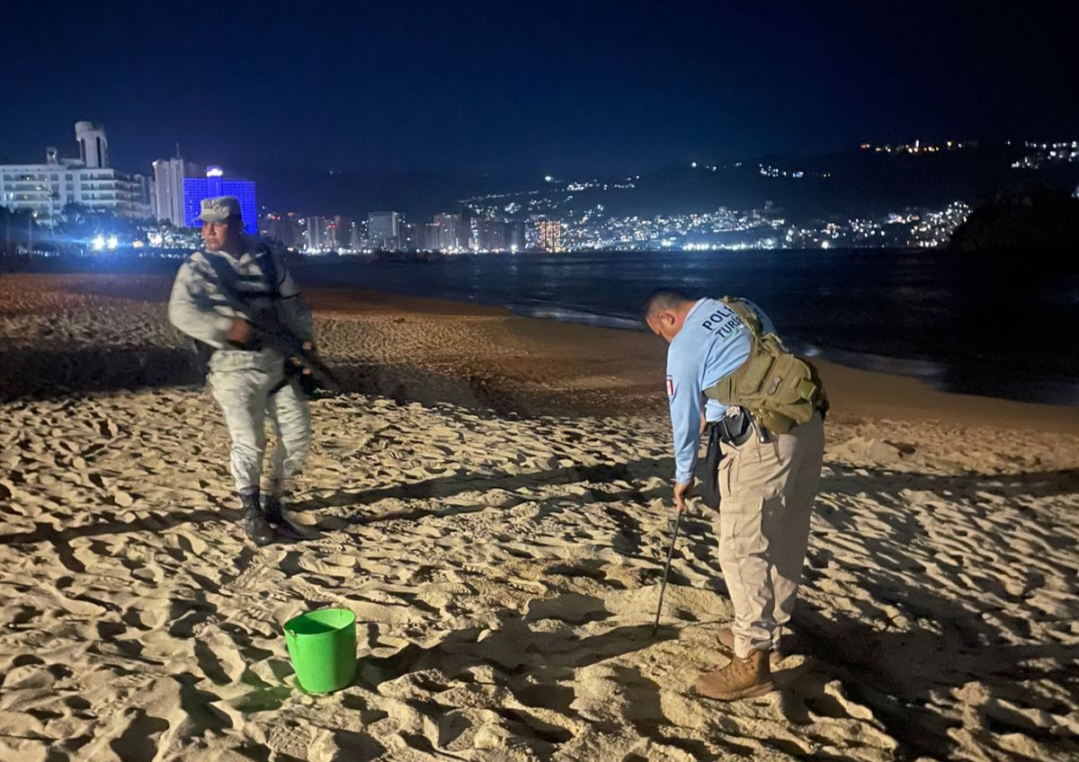 Recolectan y resguardan 192 huevos de tortuga marina en Acapulco