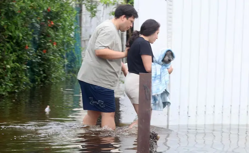 Acapulqueños rescatan a animales tras afectaciones por el huracán John