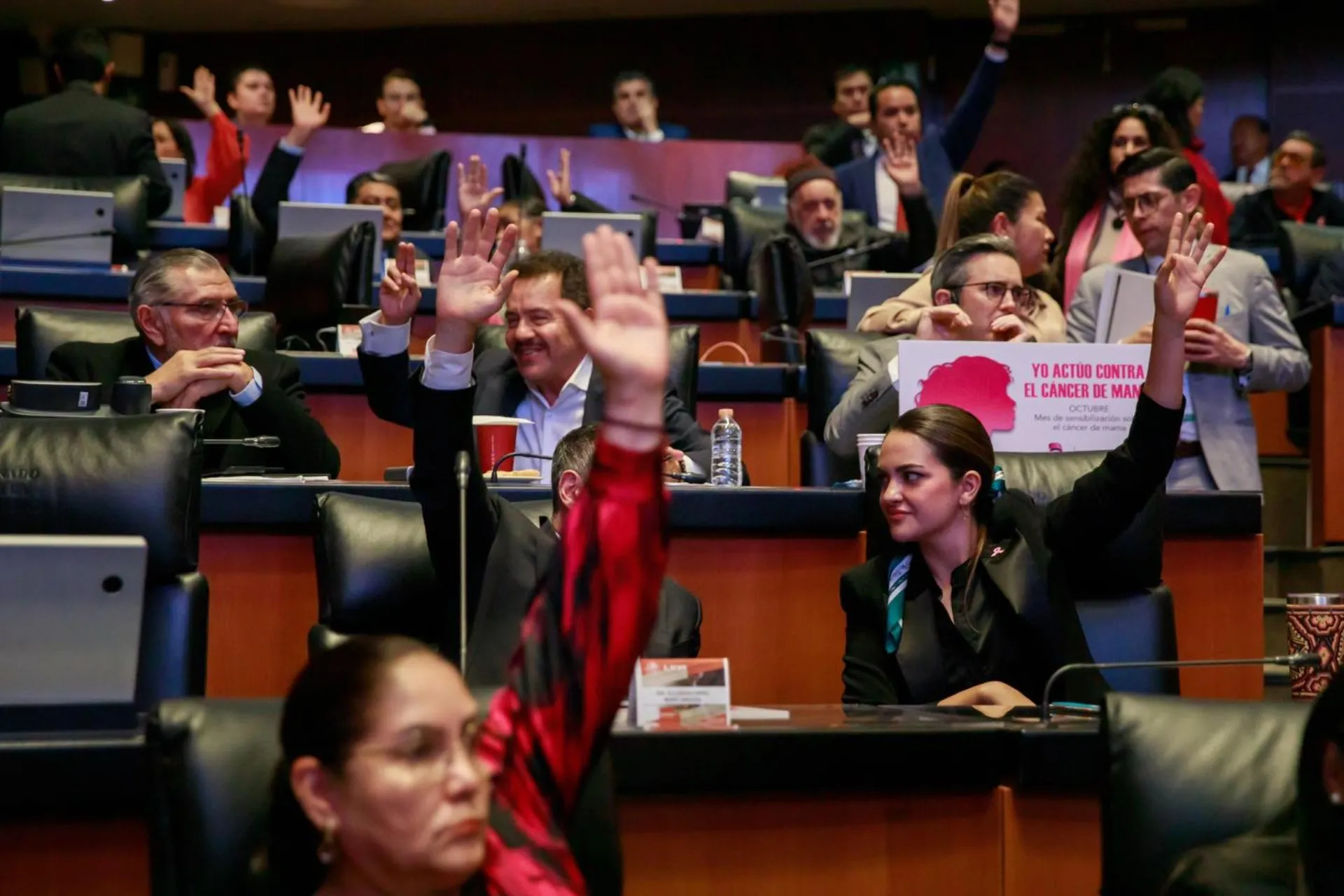 El Senado aprueba reforma para convertir a Pemex y CFE en “empresas públicas del Estado”