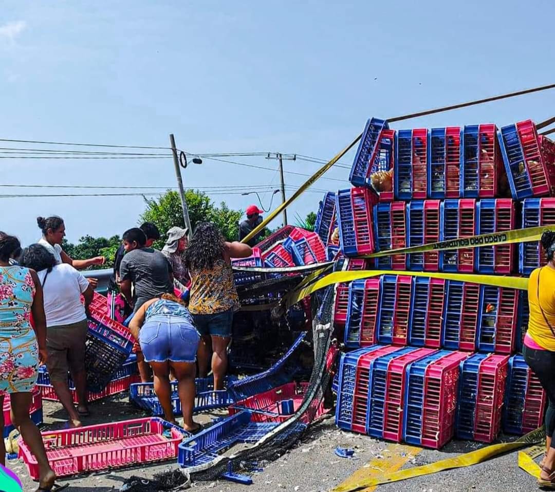 Se vuelca camión con pollos en la Acapulco-Zihuatanejo; reportan rapiña