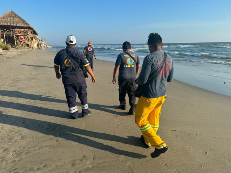 Reportan cocodrilo en playa Bofill, PC monitorea pero sigue en el mar